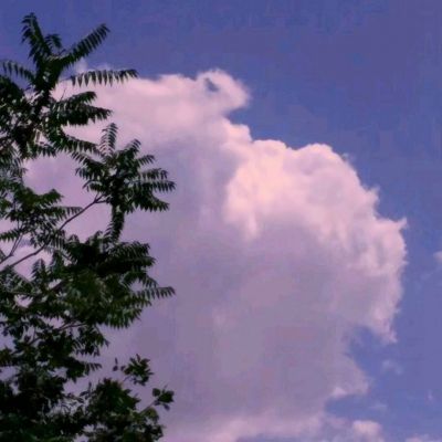 石破天惊bt版下载